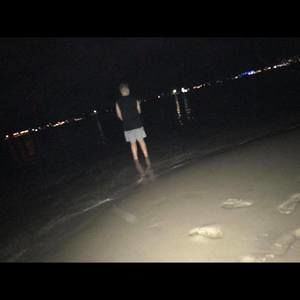 Meet your Posher, Joey